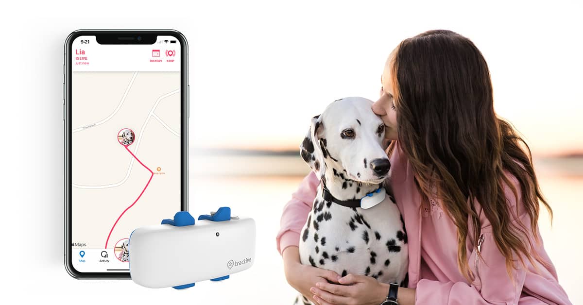 Tecnología en productos para perros y gatos