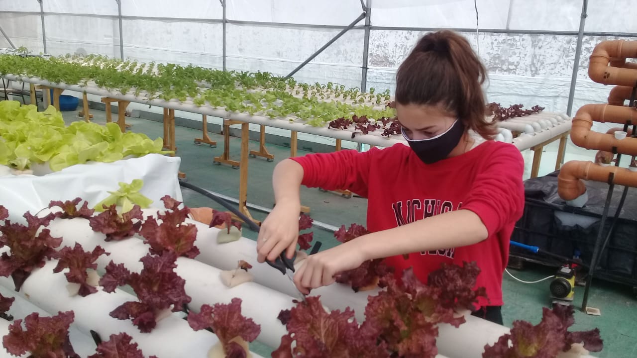 Hidroponía Educativa: Enseñando a las Generaciones Futuras