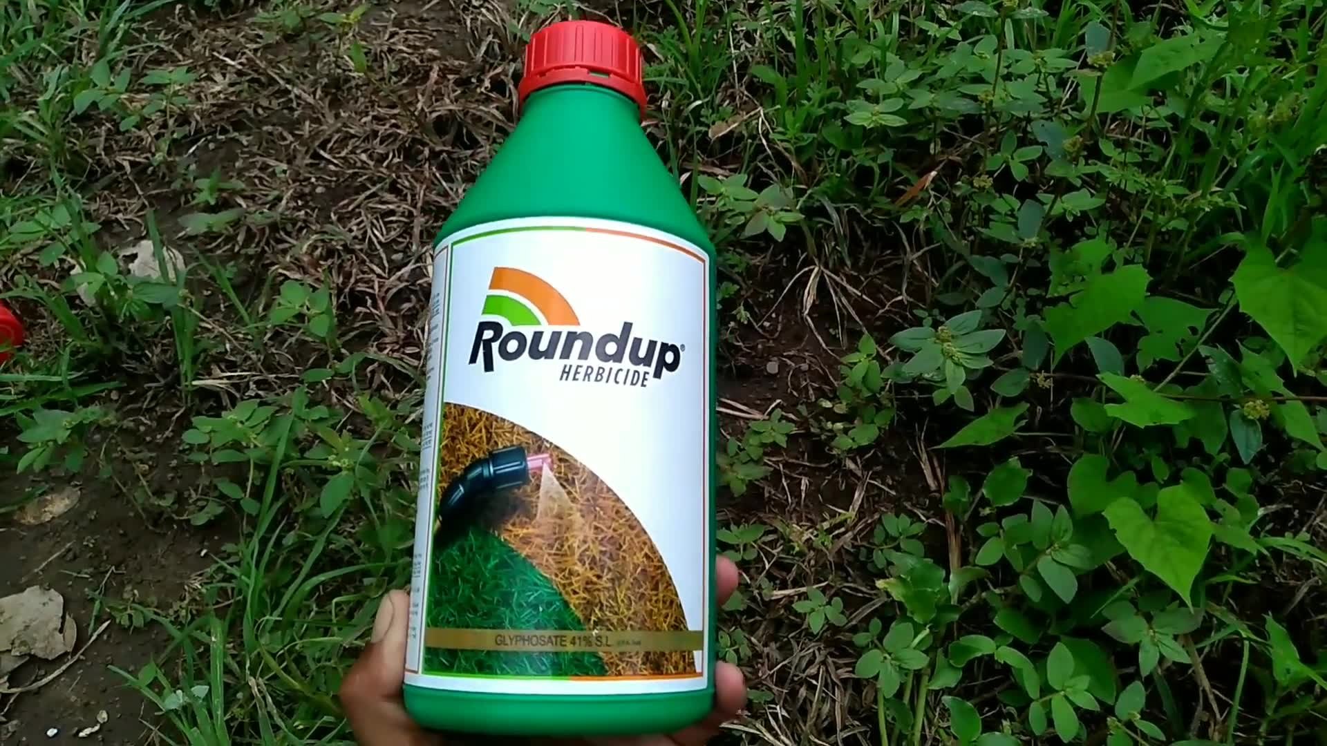 Errores más comunes con herbicidas