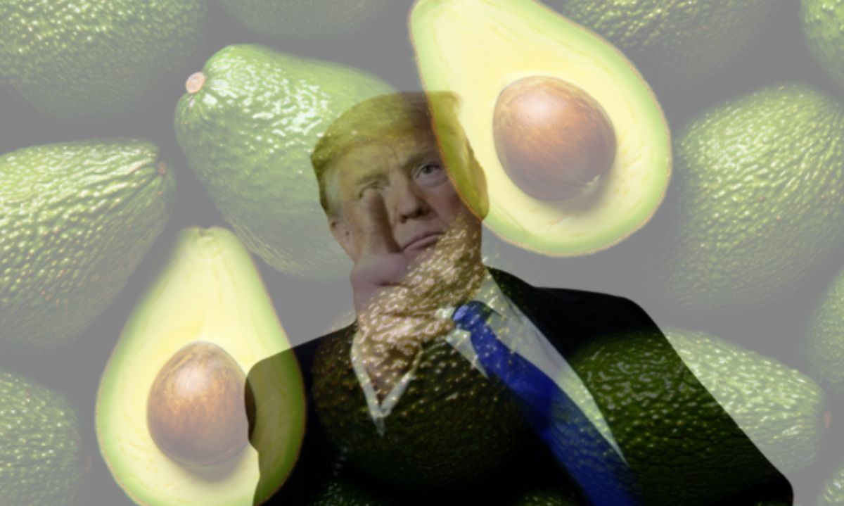 El Impacto de los Aranceles Propuestos por Donald Trump sobre los Productos Frescos de México y Canadá