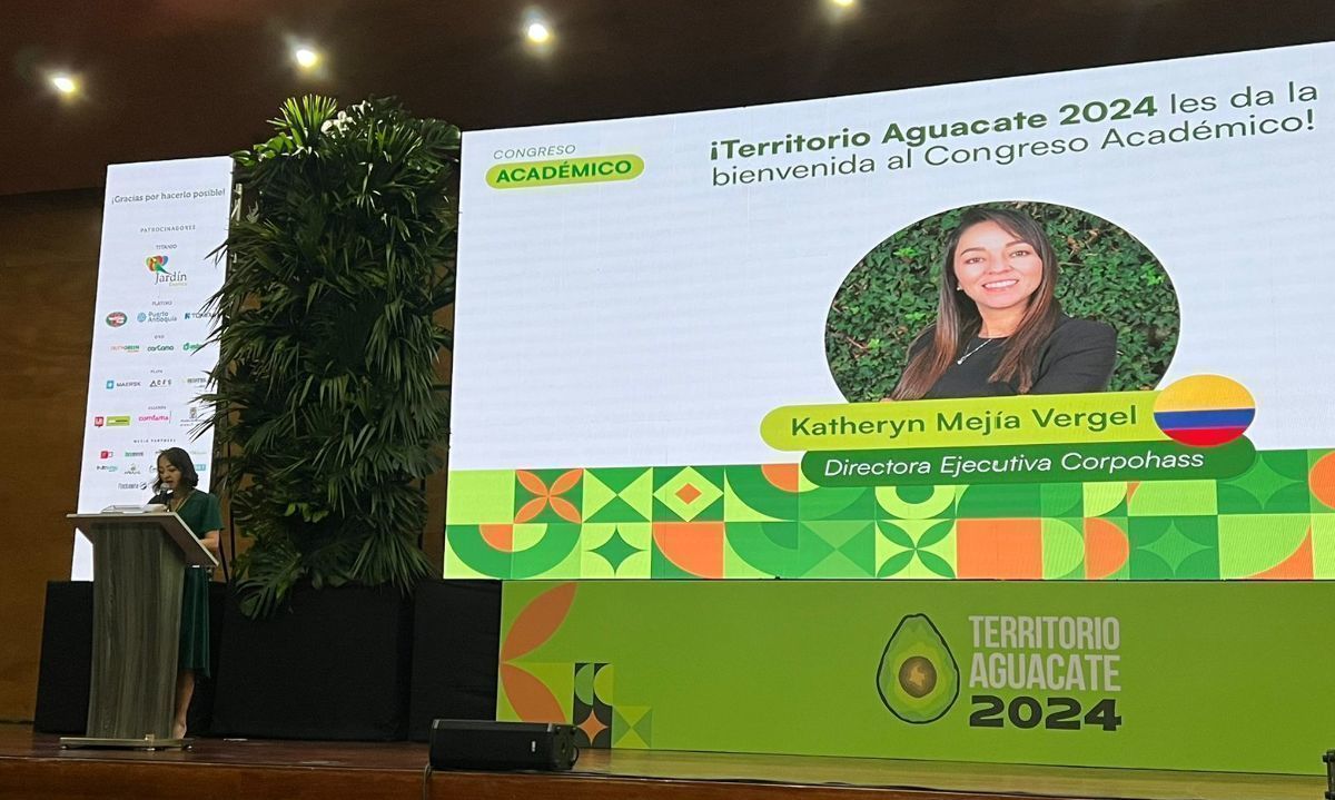 La Palta Hass: Motor Económico y Sostenibilidad en Colombia