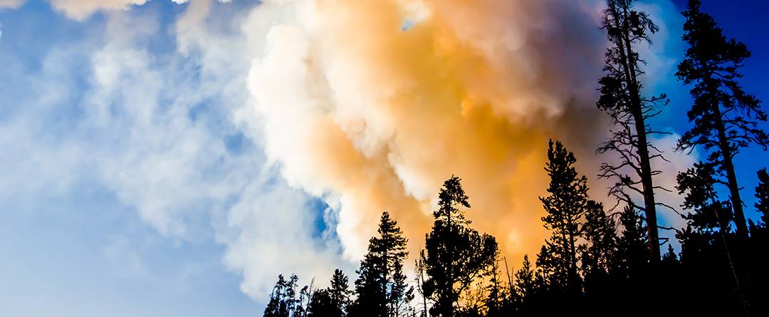 Cómo Evacuar Ante un Incendio Forestal de Forma Segura