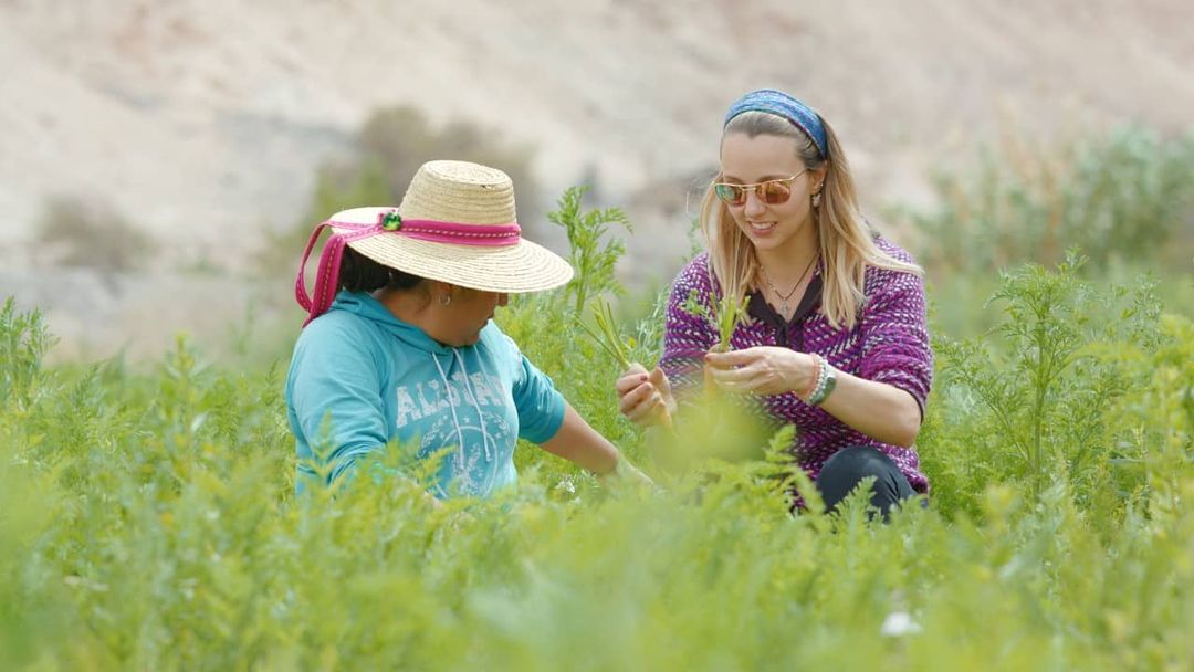 Destinos destacados para turismo rural en Chile